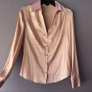 Silk Ann Taylor button up blouse